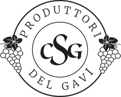Produttori del Gavi