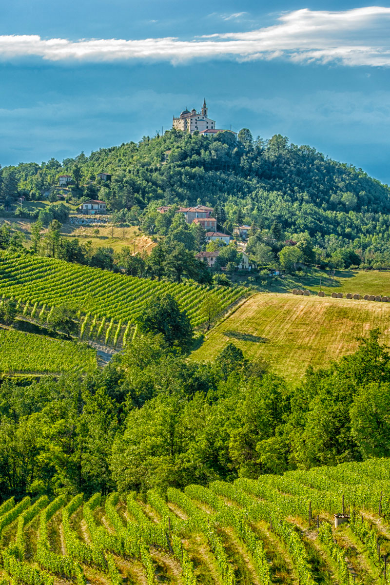Produttori del Gavi