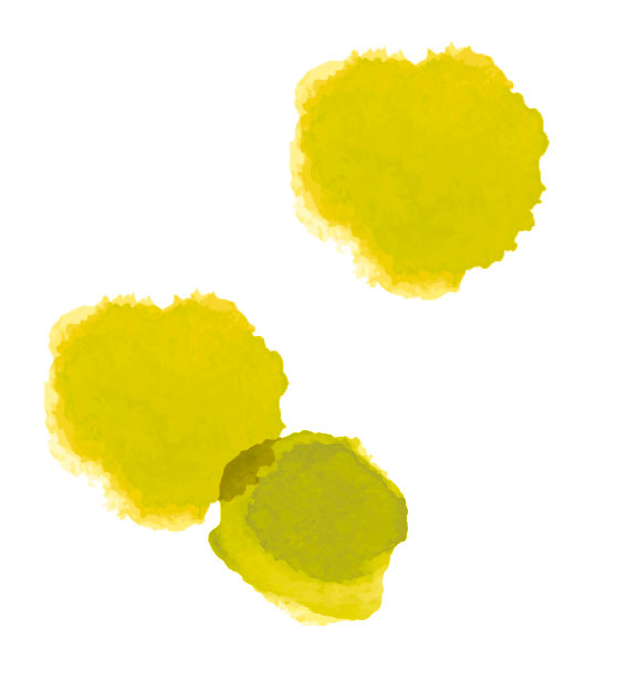 Produttori del Gavi