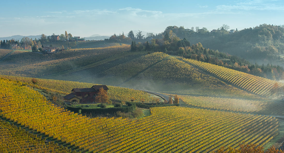 Produttori del Gavi