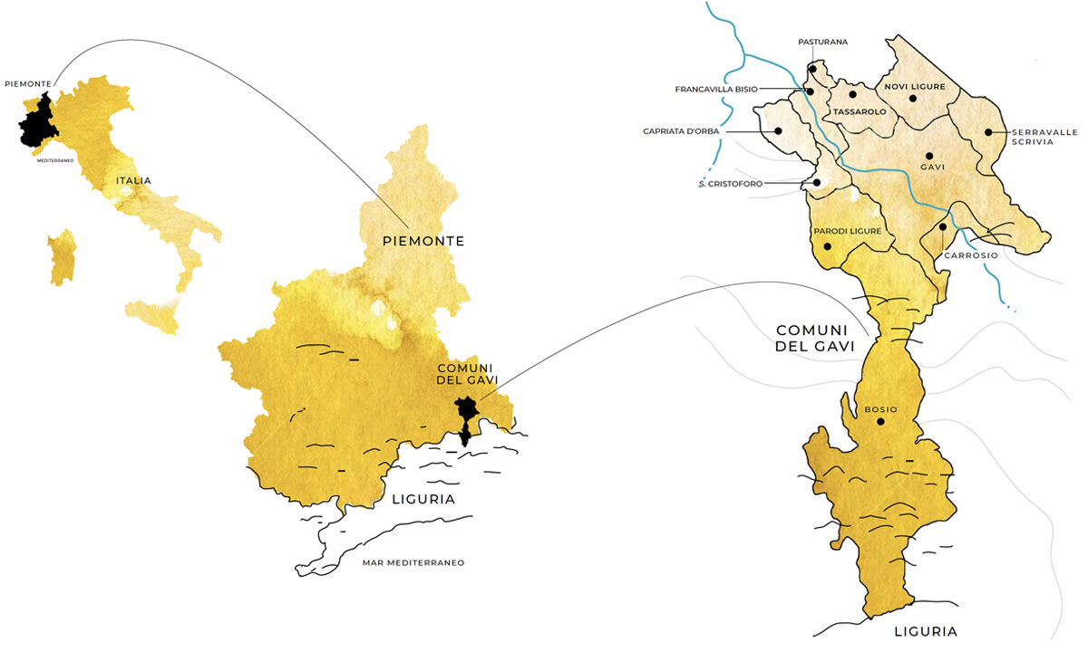 Produttori del Gavi