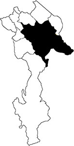 Produttori del Gavi