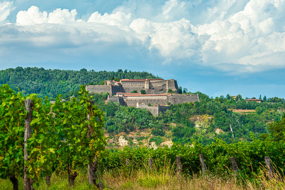 Produttori del Gavi