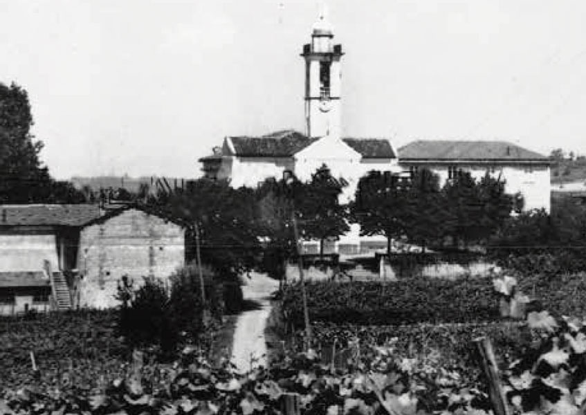 Produttori del Gavi