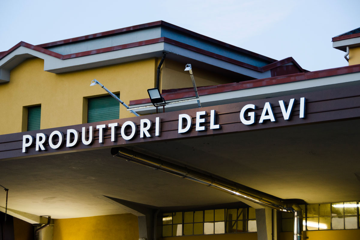 Produttori del Gavi