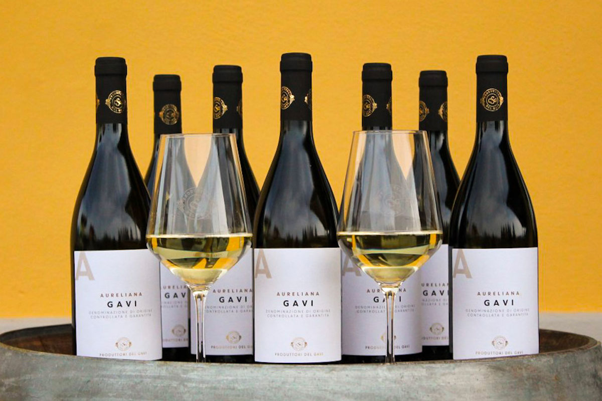 Produttori del Gavi