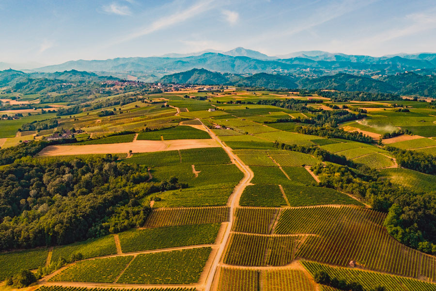 Produttori del Gavi